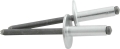 ALLSTAR PERFORMANCE ALL18147 Large Head Rivet Silver 250pk ALL18147