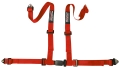 Seat Belt Restraint 2in 4 Point, Red