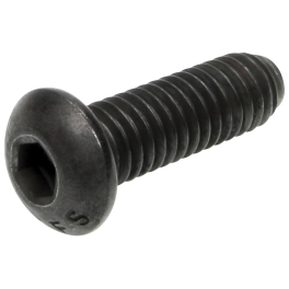 ALLSTAR PERFORMANCE ALL16944 Button Head Bolts 5/16-18 x 1i