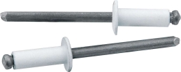 ALLSTAR PERFORMANCE ALL18114 Small Head Rivet White 250pk ALL18114