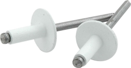 Large Head Rivet 250Pk White ALL18156