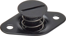 ALLSTAR PERFORMANCE ALL19004 Flush Hd S/E Fasteners 5/16.500in 10pk Alum ALL19004