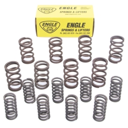 Dual Valve Springs, for Aircooled VW, 8 Springs Engle