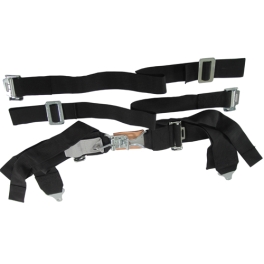 Seat Belt, 2 Shoulder & 3 Lap,, Duck Bill, 4 Point, Black