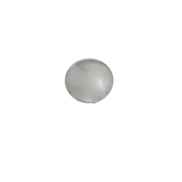 Replacement Wheel Cap, for Raider 17 Inch Wheel, Each