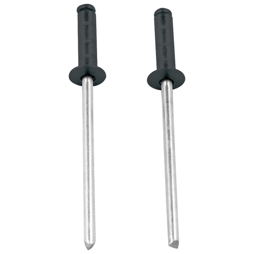 ALLSTAR PERFORMANCE ALL18098 1/8in Aluminum Rivet Black 250