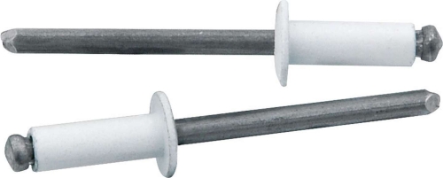 ALLSTAR PERFORMANCE ALL18114 Small Head Rivet White 250pk ALL18114