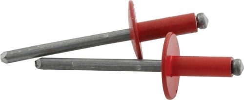 ALLSTAR PERFORMANCE ALL18162 Large Head Rivet 250Pk Red ALL18162