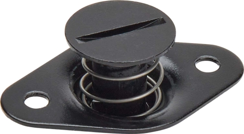 ALLSTAR PERFORMANCE ALL19103 Flush Hd S/E Fasteners 7/16.550in 50pk Steel ALL19103