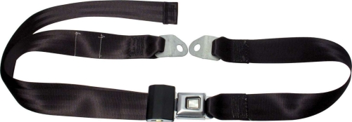ALLSTAR PERFORMANCE ALL98110 Seat Belt Black ALL98110