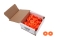 ALLSTAR PERFORMANCE ALL18854-50 Body Bolt Washer Plastic Fluorescent Orange 50pk ALL18854-50